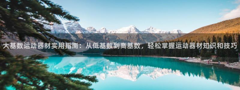 海南征途国际：大基数运动器材实用指南：从低基数到高基数，轻松