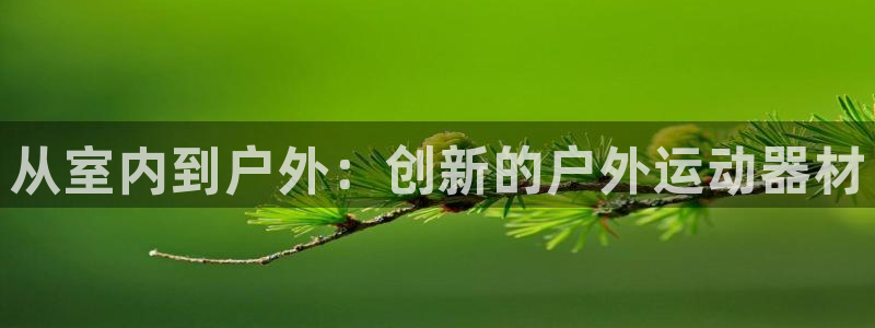 征途国际是干嘛的公司