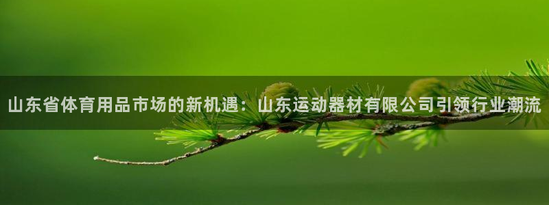 征途国际娱乐代理怎么样