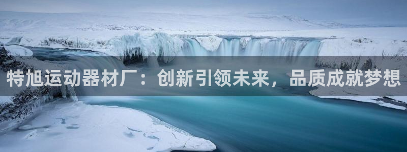 征途国际娱乐网站：特旭运动器材厂：创新引领未来，品质成就梦想