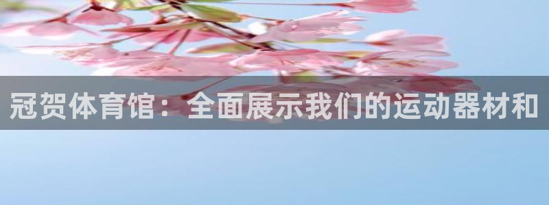 征途国际代理