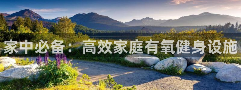 征途国际集团官网网址：家中必备：高效家庭有氧健身设施