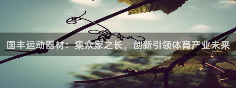 征途国际平台注册流程图：国丰运动器材：集众家之长，创新引领体