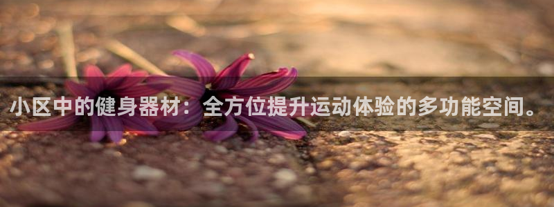 征途国际开户