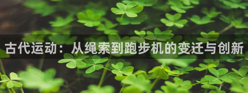 征途国际招商