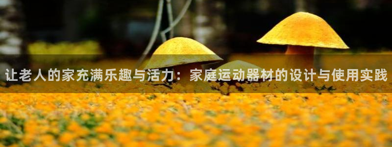 征途国际开户：让老人的家充满乐趣与活力：家庭运动器材的设计与