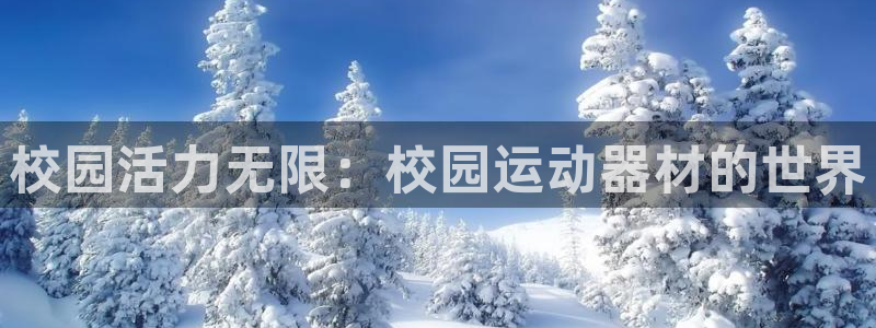 征途国际招商电话地址：校园活力无限：校园运动器材的世界