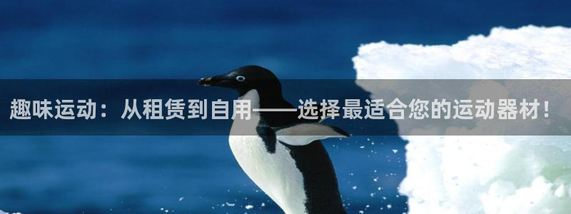 德国征途国际集团：趣味运动：从租赁到自用——选择最适合您的运