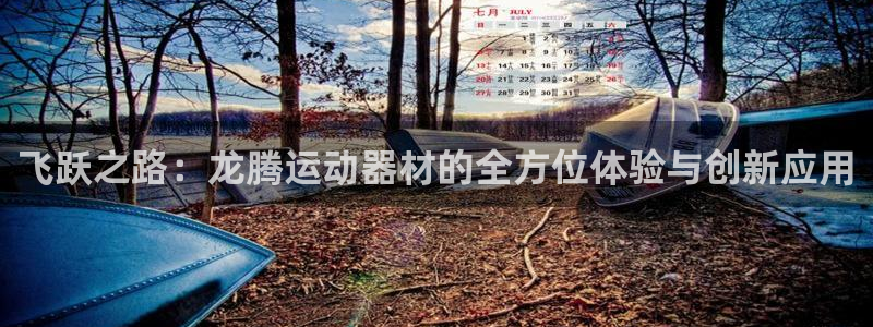 征途国际平台注册要钱吗是真的吗：飞跃之路：龙腾运动器