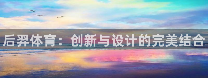 征途国际官网：后羿体育：创新与设计的完美结合