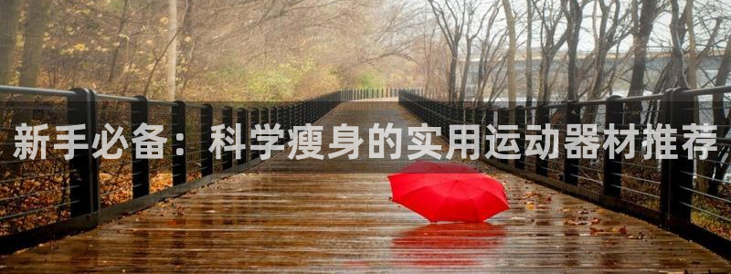 征途国际集团E.ON