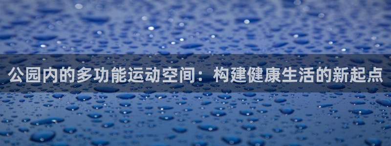 征途国际平台注册：公园内的多功能运动空间：构建健康生