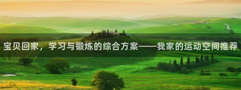 征途国际集团官网首页：宝贝回家，学习与锻炼的综合方案——我家