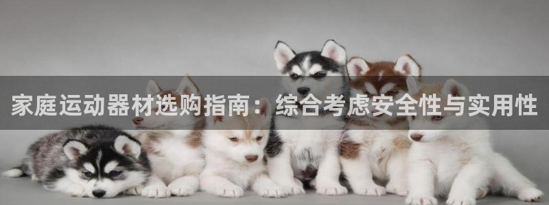 征途国际平台假的吗是真的吗吗:家庭运动器材选购指南:综合考虑