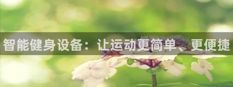 征途国际娱乐网站