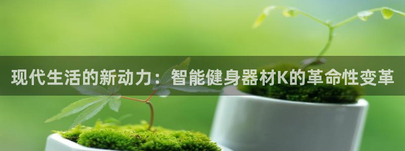 征途国际娱乐平台：现代生活的新动力：智能健身器材K的