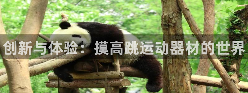 征途国际娱乐网站：创新与体验：摸高跳运动器材的世界