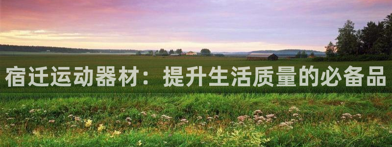 征途国际是干嘛的公司